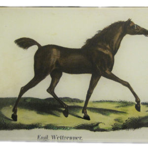 john derian horse glass dish